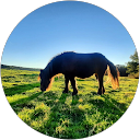 Anouchka Renault profile picture